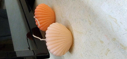 Pack of 2 Cute Mini Sea Shell Candle/ Scented/ Size Length 5.8 CM Width 6.81CM/ f8r Home Decor | Shell Shape Candle Scented Candle Best For Decor & Gift | shell Candle -Scented Candle Beach Decor - Home Decor Accessories - Shell Candle - Aesthetic Decor