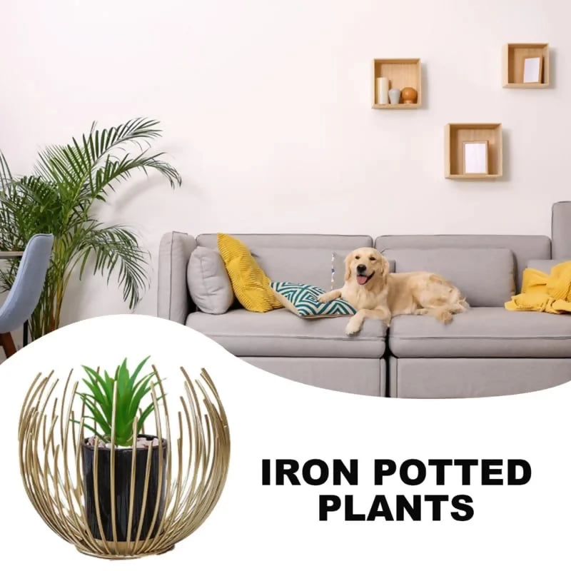 Metal-Golden-Planter-5518-SA2405-21-Apricot-4822