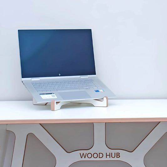 Fancy Laptop Stand