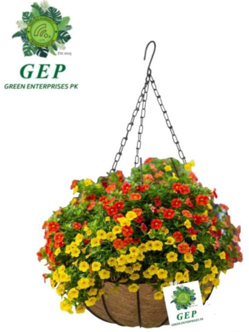 GEP Garden Hanging Baskets for Plants 14 inches - with Handmade Coco-Liner