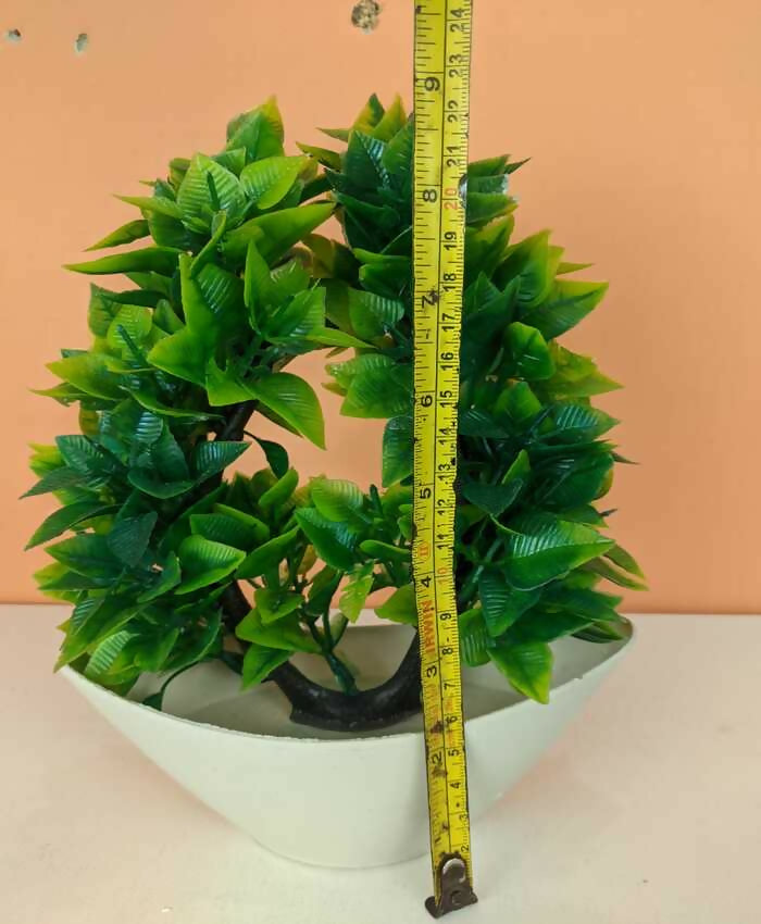 1-pc-Green-plant-size