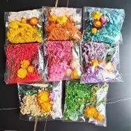 A5 Dried Flowers Natural Floral Art Craft Scrapbooking Resin Jewelry Making mold - ValueBox