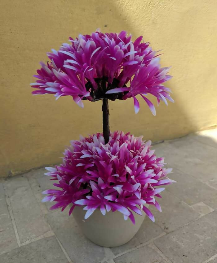 purple-big-plant-1