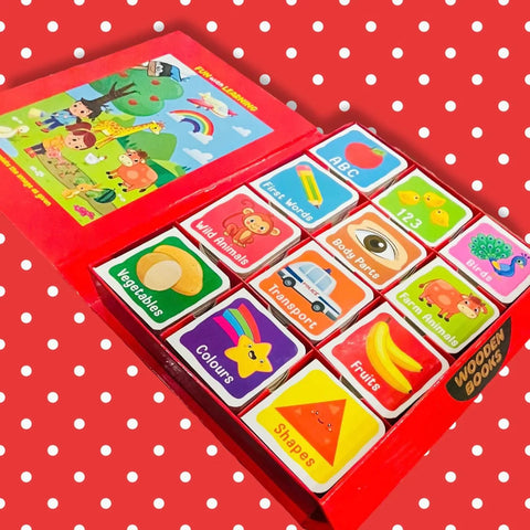 12 Wooden Book Block Set – Baby Einstein Edition