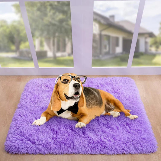 Anti-Slip Soft Fluffy Door Mat-Purple