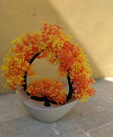 orange-plant-1