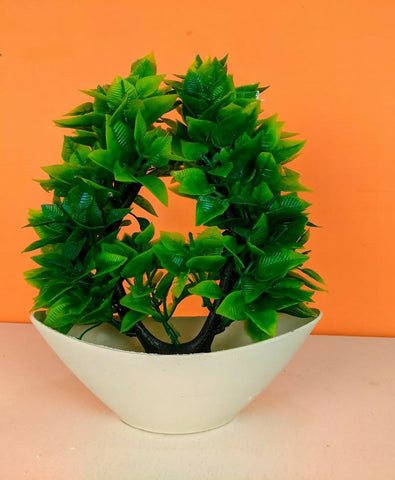 1-pc-Green-plant