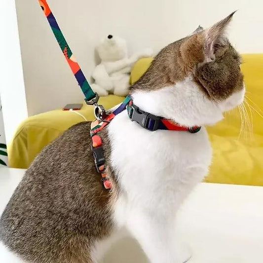 Rainbow color leash For Cats- easy gripping -Genuine Product - ValueBox