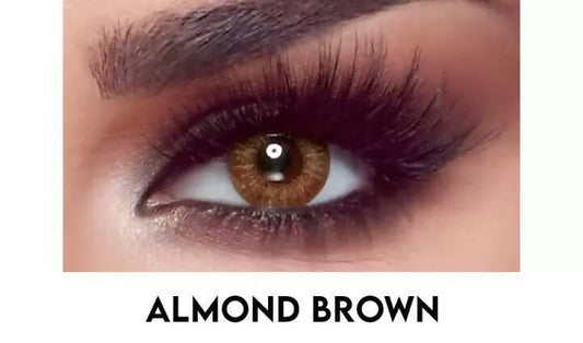 Bella Almond Brown Lens Available
