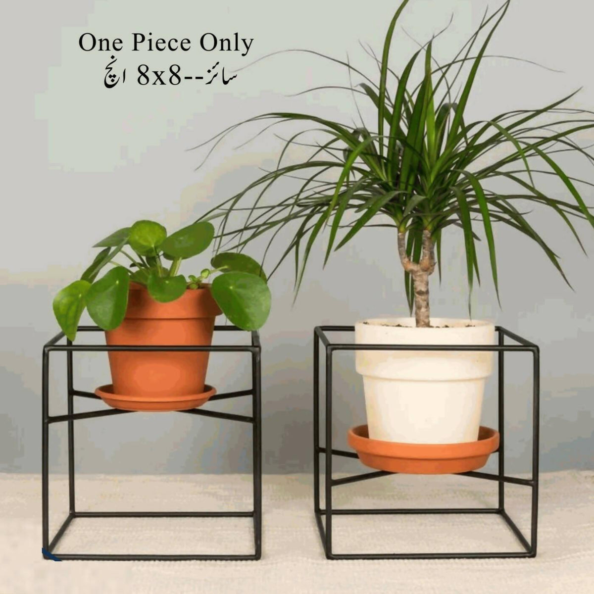 Metal Cube Plant Stands, Wire Plant Pot Stand, Metal Plant Holder, Flower Pot Stand, Steel Wall Hanger, Minimalist Plant Stand, 8x8 Inches, Made By With Metal Wire - ValueBox