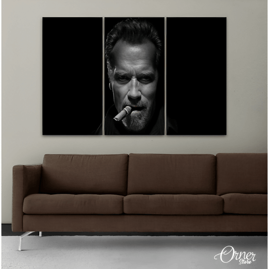 Paintings Arnold Schwarzenegger Fan Art (3 Panel) | Celebrities Wall Art - ValueBox