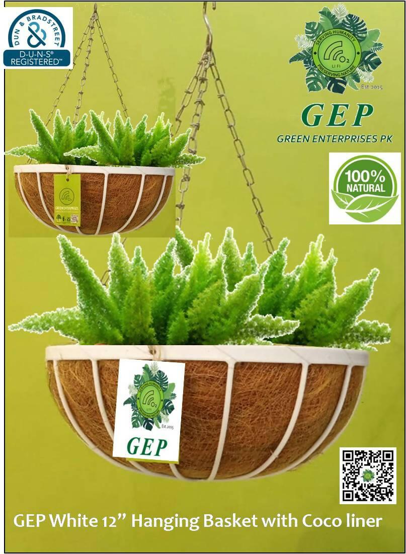 Pack Of 2 GEP White Garden Hanging Basket 12″ Coco coir with metal frame Indoor/Outdoor Garden Décor