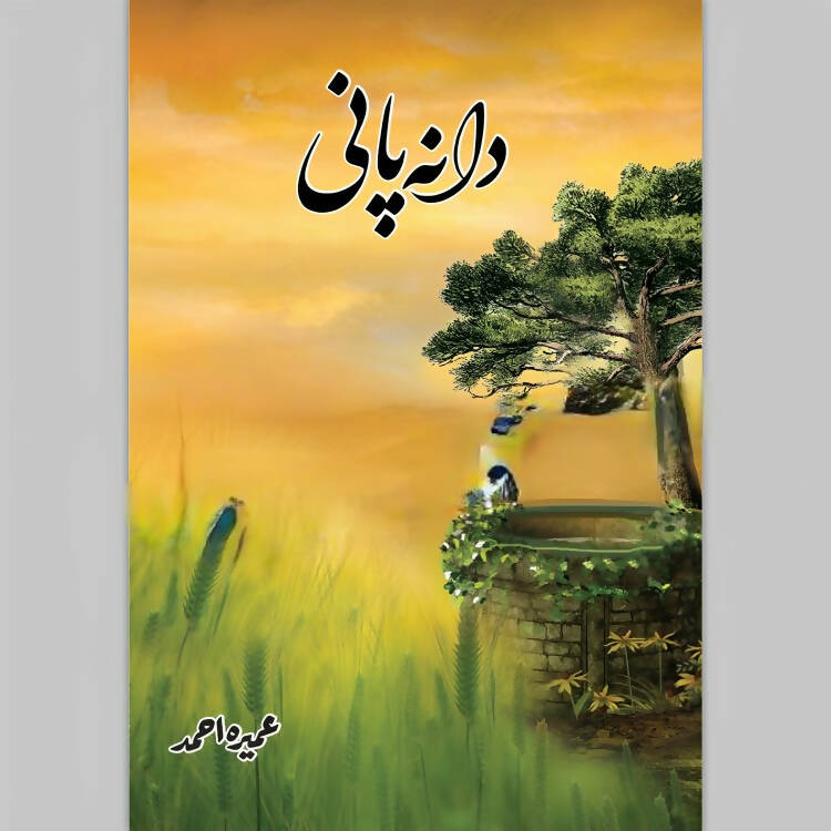 Daana Pani Urdu Novel by Umera Ahmad Umera NEW BOOKS N BOOKS