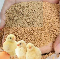 Poultry feed for chicks zero size (0 number) for chicks quails and ducklings chuzzon ki feed - 1 KG - ValueBox