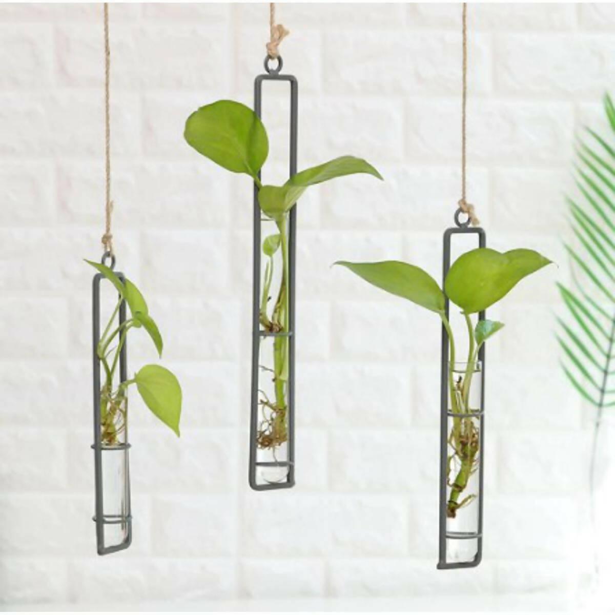 3pcs Decoration Flower Wall Vase Flower Glass Tube Vases Glass Container Wall Hanging Air Plant Flower Bottle Vase - ValueBox