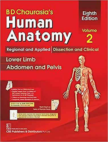 Human Anatomy Lower Limb Abdomen And Pelvis By Bd Chaurasia Vol 2 (9th Edition) - ValueBox