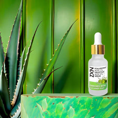 NXZ Hyaluronic Acid 1% Salicylic Acid 2% Serum Enriched with cucumber pulp - ValueBox