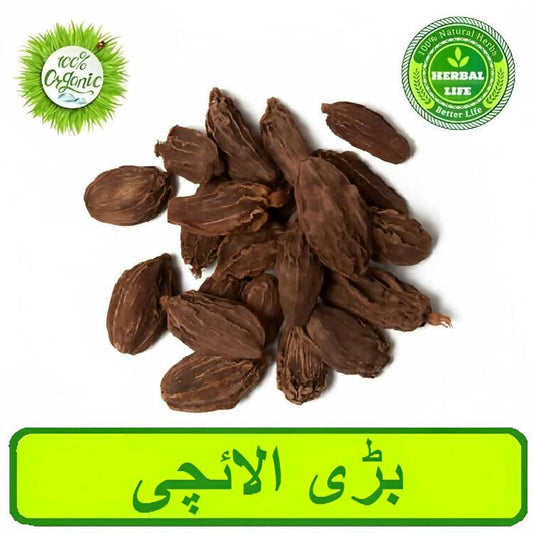 Black Cardamom | 50 Grams | بڑی الائچی - ValueBox