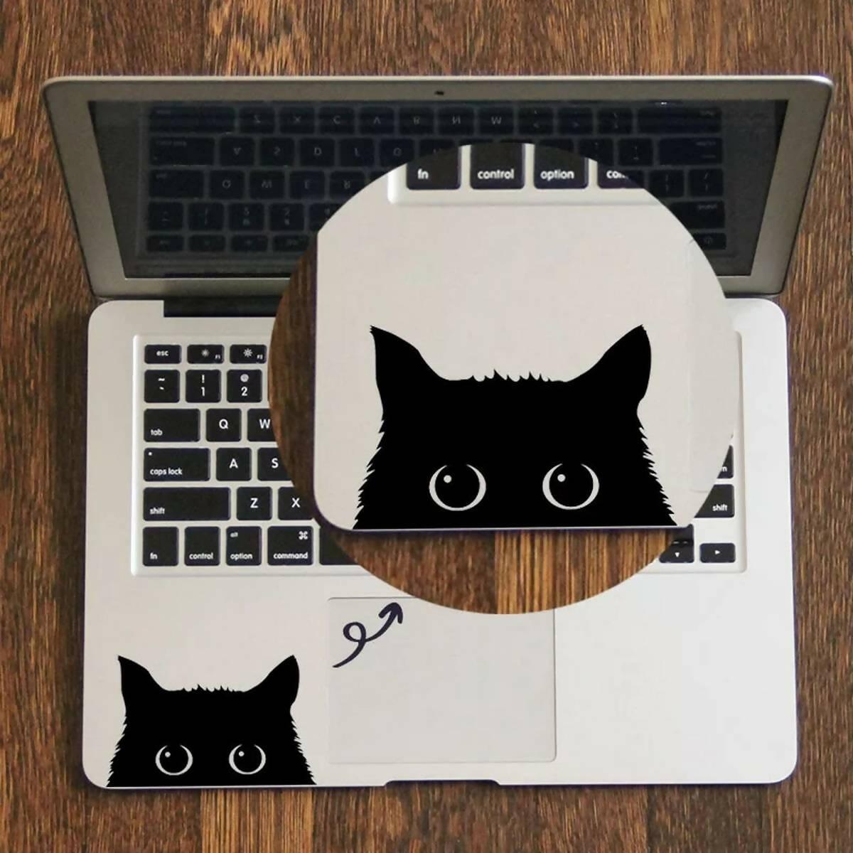 Cat Kitty Laptop Sticker Decal, Car Stickers, Wall Stickers High Quality Vinyl Stickers by Sticker Studio - ValueBox