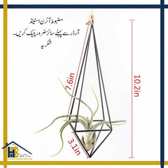 HB One Piece Customize, Modern Rustic Art Style Freestanding Hang Iron Ndsia Air Plant Rack Holder Black 10.2 Inches Height Quadrilateral Pyramid Shape Geometric Hollow Flower Pots - ValueBox