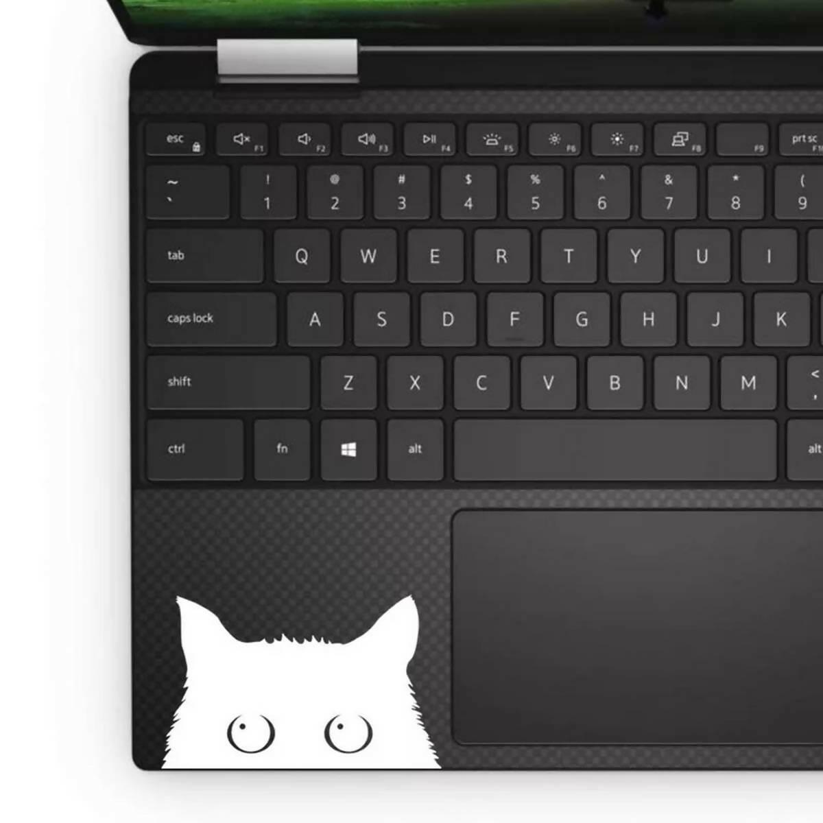 Cat Kitty Laptop Sticker Decal, Car Stickers, Wall Stickers High Quality Vinyl Stickers by Sticker Studio - ValueBox