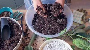 Potting Mix packet for Hanging pots (Peat Moss + perlite + fertilizer) for Hanging Baskets & Plastic pots - ValueBox