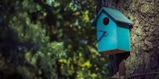 Wooden Bird Houses for your garden