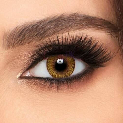 Freshlook Pure Hazel Eye Lenses – Colorblends