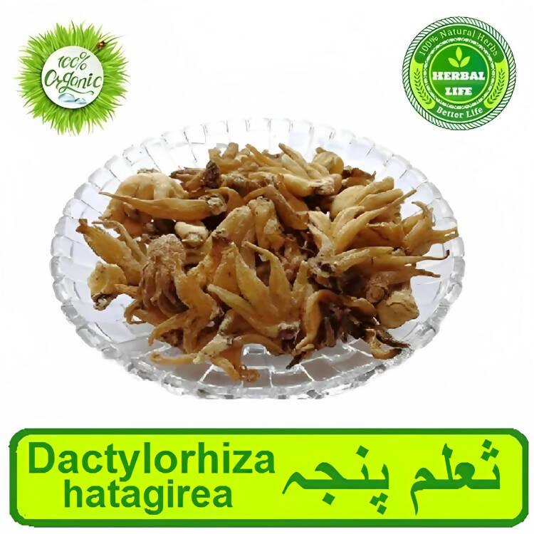 Saalam Panja | Dactylorhiza hatagirea | 10 Gram | ثعلم پنجہ - ValueBox