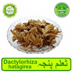 Saalam Panja | Dactylorhiza hatagirea | 10 Gram | ثعلم پنجہ - ValueBox