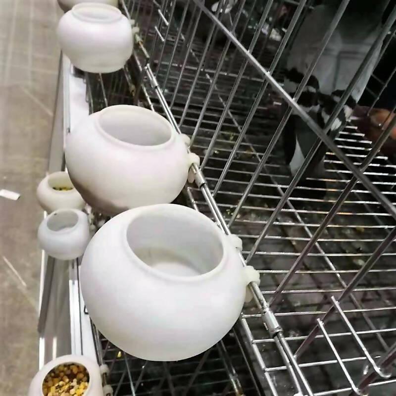 Bird Multani Feeder ideal For Birds / Parrots / Chicken / Pigeon Pack of 3 | High Quality Product Online Shopping