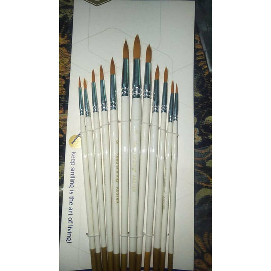 Paint Brushes 12 Pieces