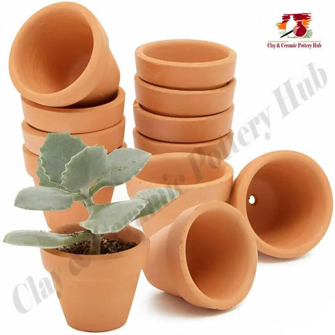 4 Pack Mini Terracotta Pots with Drainage Holes for Plants, Succulent, Cactus - ValueBox