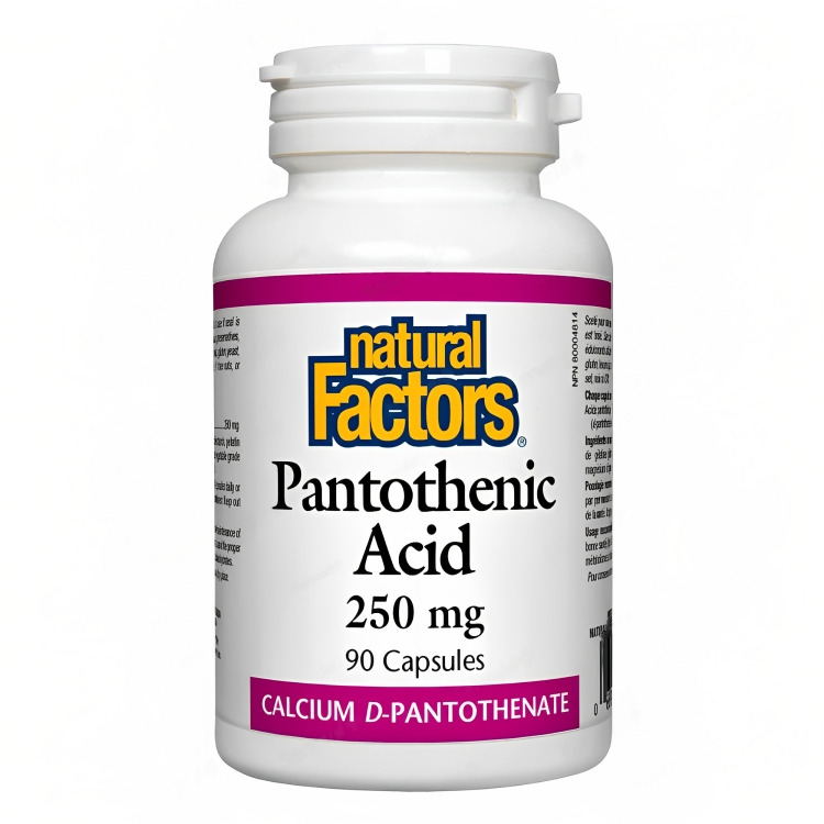 Base 6 Natural Factors Pantothenic Acid 250MG Cap 1x1 (P)