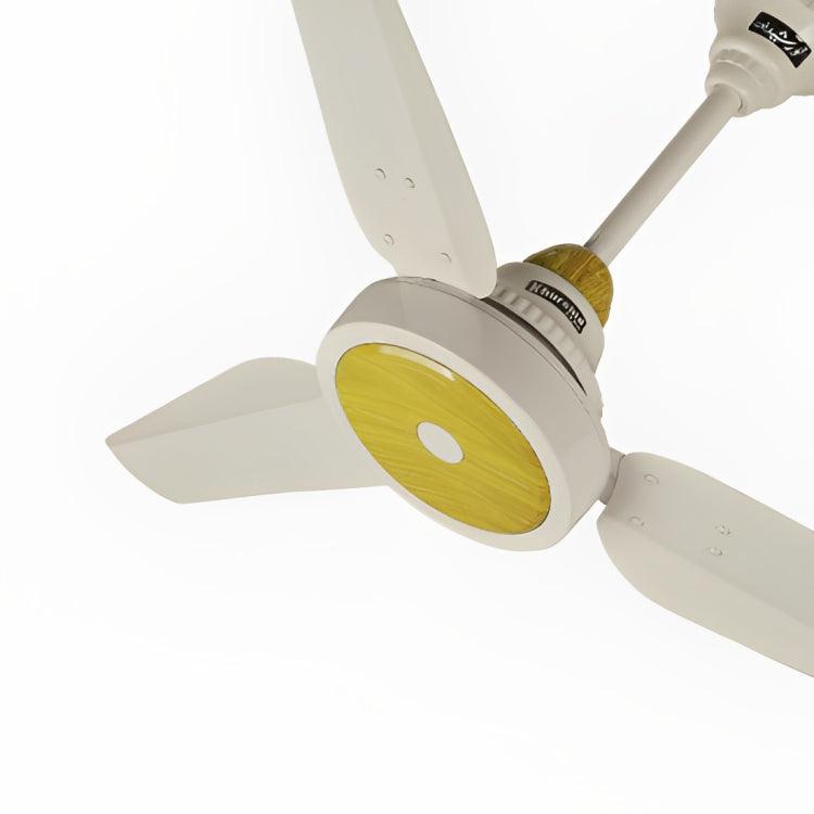 Ac/dc Inverter Ceiling Fan - ValueBox