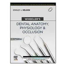 Wheeler’s Dental Anatomy, Physiology and Occlusion 11th Edition - ValueBox