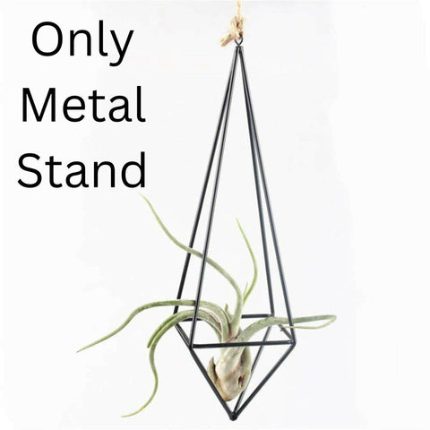 Modern Rustic Art Style Freestanding Hang iron ndsia Air Plant Rack Holder Black 10.2 Inches Height Quadrilateral Pyramid Shape Geometric Hollow Flower Pots - ValueBox