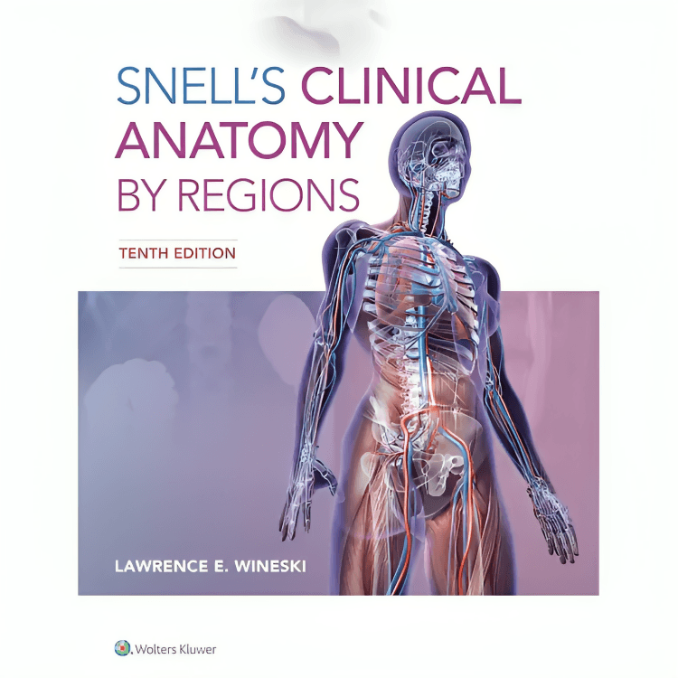 Snells Clinical Anatomy by Regions Lawrence E. Wineski (11th Edition) - ValueBox