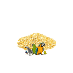 Crushed Corn for Birds, Budgies, Lovebirds & Parrots - 500 Grams - ValueBox