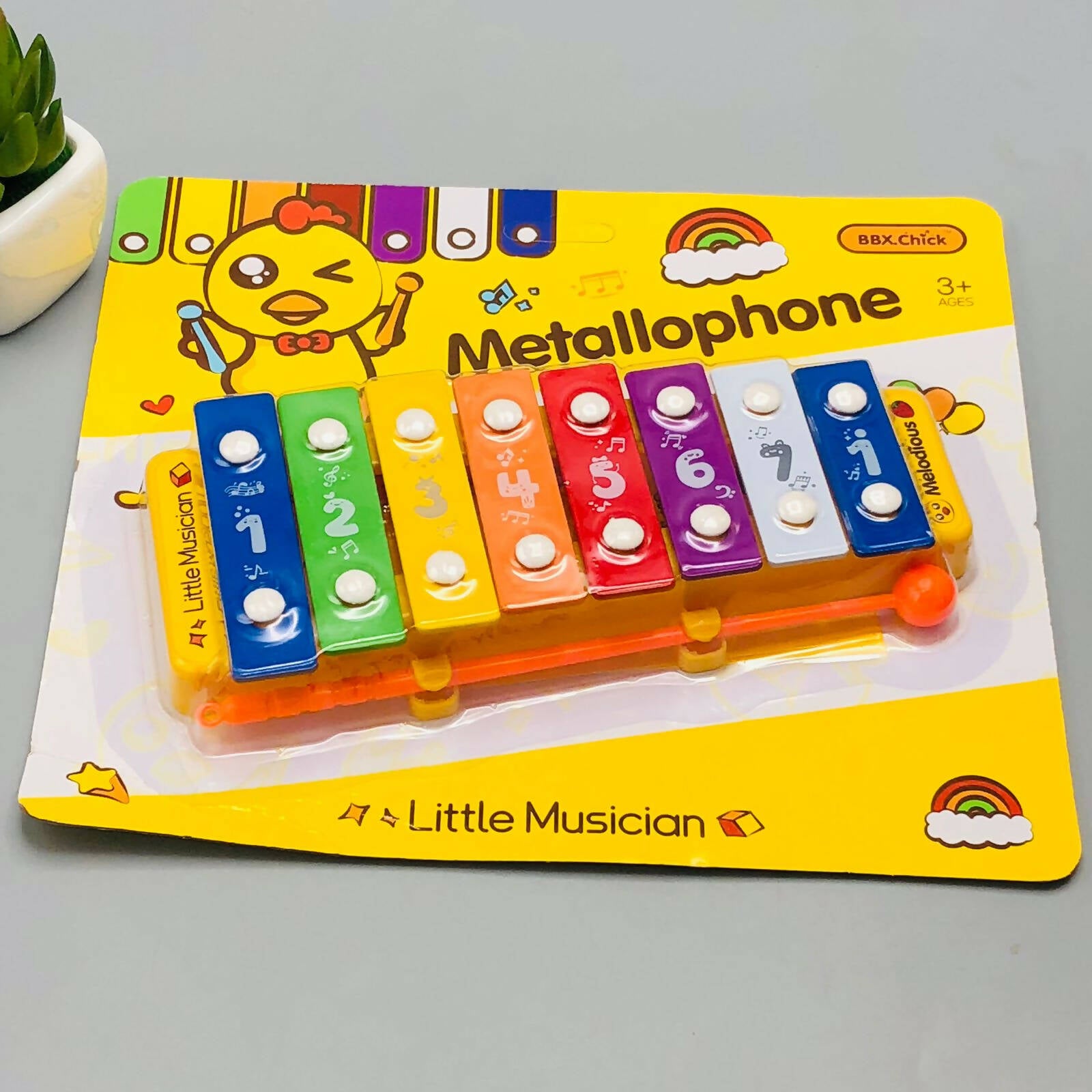 Little Musician Xylophone